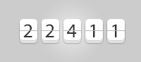 counter 22411